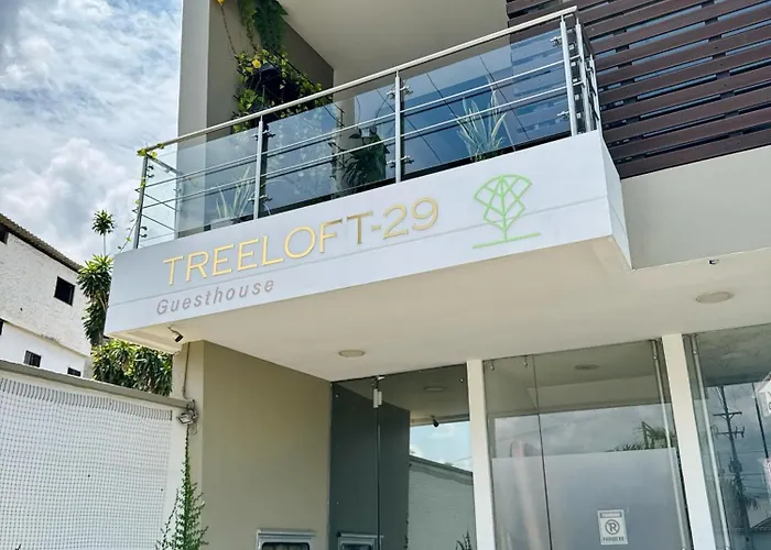 Treeloft Home